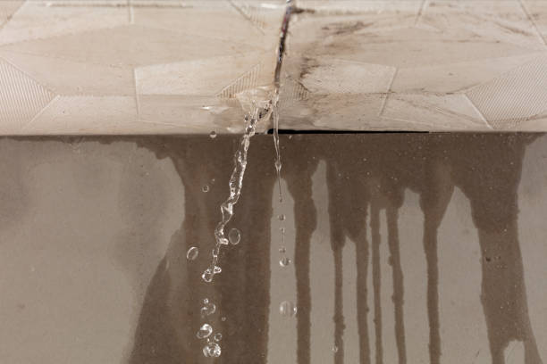 Professional Water Damage Repair technician working in Campton, NH